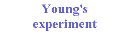 Young's simulation